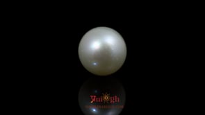 Pearl - 9.75 Carat