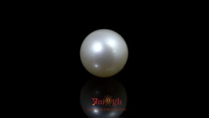 Pearl - 9.25 Carat