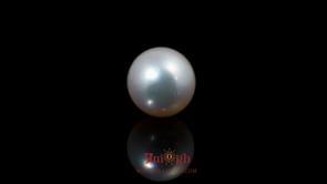 Pearl - 9.9 Carat