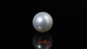 Pearl - 9.8 Carat