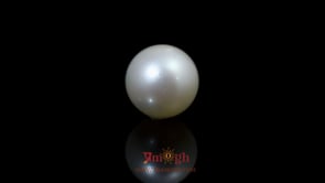Pearl - 9.9 Carat