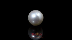 Pearl - 9.1 Carat