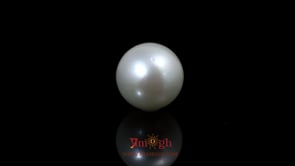 Pearl - 9.7 Carat