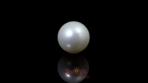 Pearl - 9.1 Carat