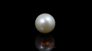 Pearl - 9.5 Carat
