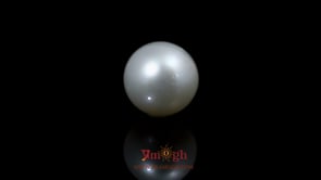 Pearl - 11.8 Carat