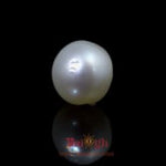 Pearl - 9.15 Carat