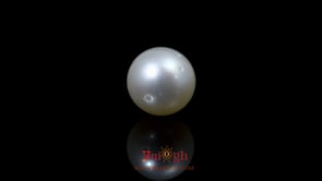 Pearl - 9.9 Carat