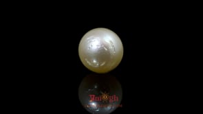 Pearl - 10.25 Carat