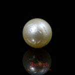 Pearl - 10.25 Carat