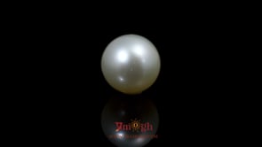 Pearl - 11.7 Carat
