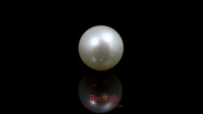Pearl - 10.95 Carat