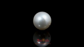 Pearl - 10.1 Carat