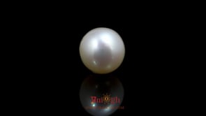 Pearl - 11.7 Carat
