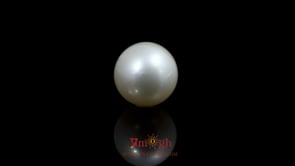 Pearl - 11.45 Carat