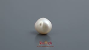 Keshi Pearl - 5.85 Carat