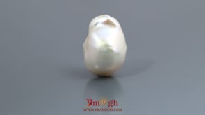 Keshi Pearl - 11.5 Carat