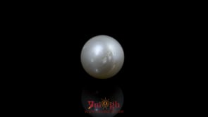 Pearl - 10.5 Carat