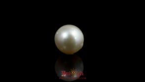 Pearl - 8.5 Carat