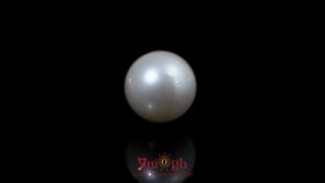 Pearl - 10.6 Carat