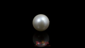 Pearl - 8.8 Carat