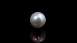 Pearl - 11.35 Carat