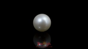 Pearl - 10.8 Carat