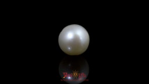 Pearl - 10.95 Carat