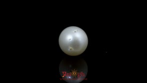 Pearl - 10.8 Carat