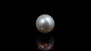 Pearl - 11.05 Carat