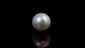 Pearl - 11.5 Carat