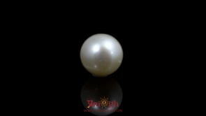 Pearl - 9.8 Carat