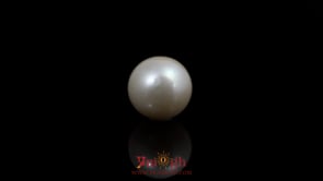 Pearl - 8.1 Carat