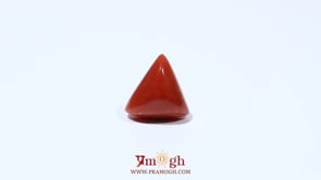 Red Coral - 4.68 Carat