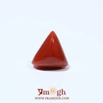 Red Coral - 4.68 Carat