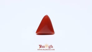 Red Coral - 4.53 Carat