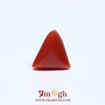 Red Coral - 4.53 Carat