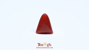 Red Coral - 4.67 Carat