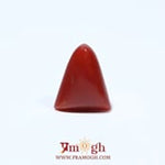 Red Coral - 4.67 Carat