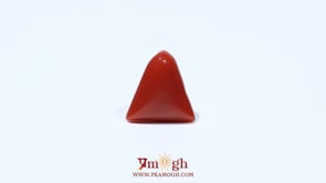 Red Coral - 4.54 Carat