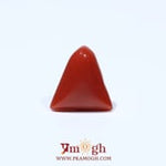 Red Coral - 4.54 Carat