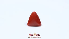 Red Coral - 4.6 Carat