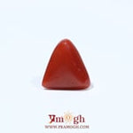 Red Coral - 4.6 Carat