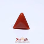 Red Coral - 4.7 Carat