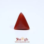 Red Coral - 4.7 Carat