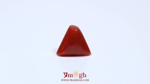 Red Coral - 4.65 Carat