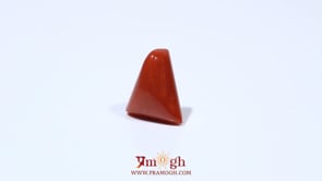 Red Coral - 4.55 Carat