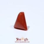 Red Coral - 4.55 Carat