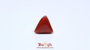 Red Coral - 4.8 Carat
