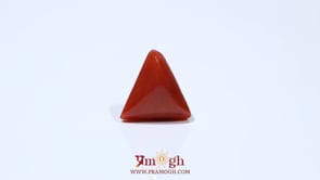 Red Coral - 4.65 Carat